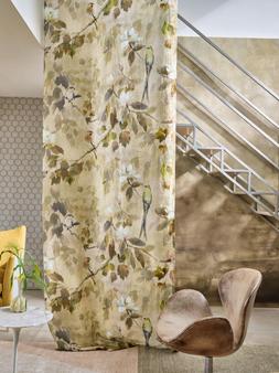 GRANDIFLORA ROSE COLLECTION