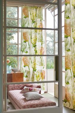 GRANDIFLORA ROSE COLLECTION