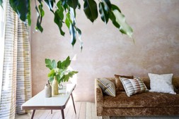 Designers Guild AW25