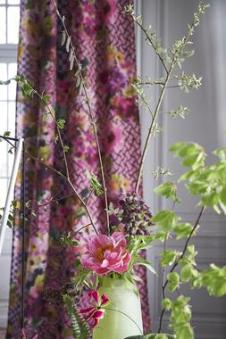 JAIPUR ROSE COLLECTION