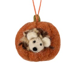 Hedgehog in a Pumpkin £8