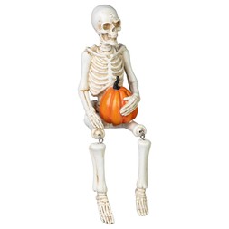 Skeleton Shelf Sitter £3.50