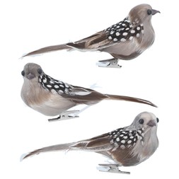 Natural feather bird clips 3as