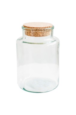 Bottle Shape Medium Terrarium DIY Kit &pound;29.99