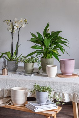 SOFIA GREEN GRANITE PLANTER H15.5CM D15.5CM £8.99, SOFIA GREEN GRANITE PLANTER H14CM D14CM £6.99, SOFIA GREY GRANITE PLANTER H15.5CM D15.5CM £8.99, SOFIA GREY GRANITE PLANTER
