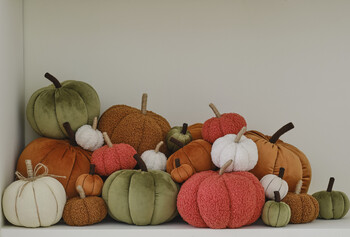 https://ww-w.prshots.co.uk/contents/archives/3746/1580/images/thumb350x287_auto/hobbycraft_hobbycraft-autumn-home-decor-2024-7_thumb.jpg