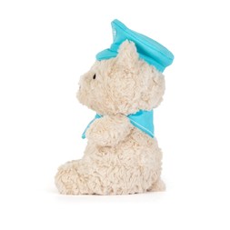 Bartholomew Bear Junior Pilot